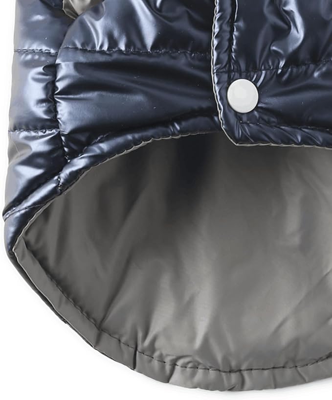 Winter Dog Coat for Small Dogs Chihuahua Warm Jacket for Medium Pet Coats, Blue, Large