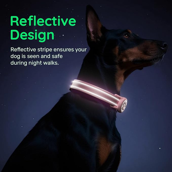 Premium Airtag Dog Collar，with IP68 Waterproof AirTag Holder,Pink,L | Soft,Breathable,Nylon Padded,Reflective,Ultra-Durable Buckle,Adjustable,Comfortable for Small Medium Large Dogs