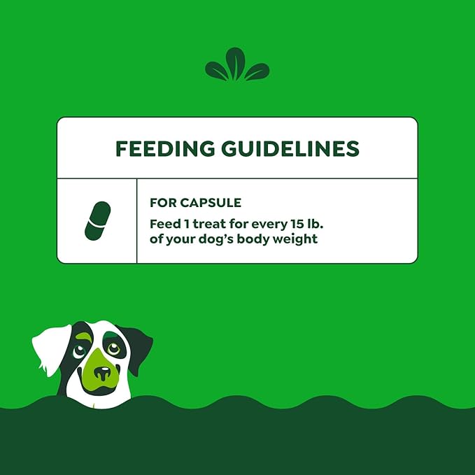 Greenies Pill Pockets for Dogs, Large Size Soft Dog Treats, Chicken Flavor, (6) 7.9 oz. Pouches
