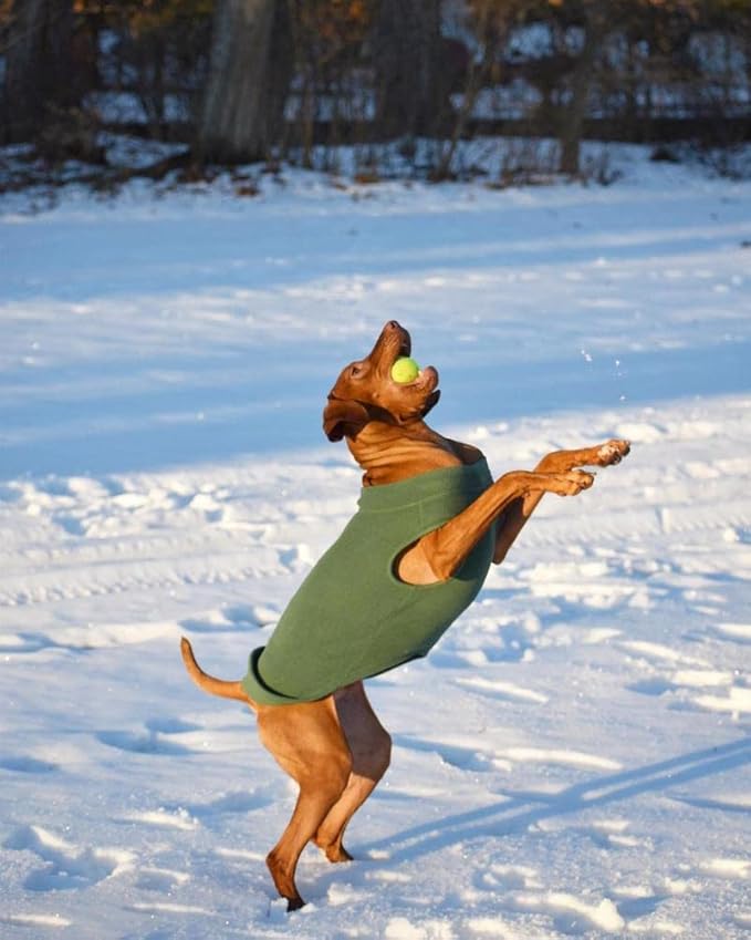 Gooby - Stretch Fleece Vest, Pullover Fleece Vest Jacket Sweater for Dogs, Forest Green, 3X-Large