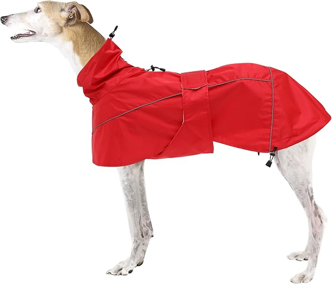 Greyhound Lurcher Raincoat, Whippet Rain Gear with Reflective Bar, Rain/Waterproof, Adjustable Bands and Drawstring in Autumn and Winter - Red - L