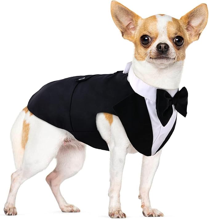 PUMYPOREITY Medium Dog Bowtie Tuxedo Suit, Wedding Outfit for Cats and Dogs, Bandana Set for Chihuahua, Boston Terrier, Bichon, Corgi, Pomeranian, 2 Pieces/Pack, M, Black
