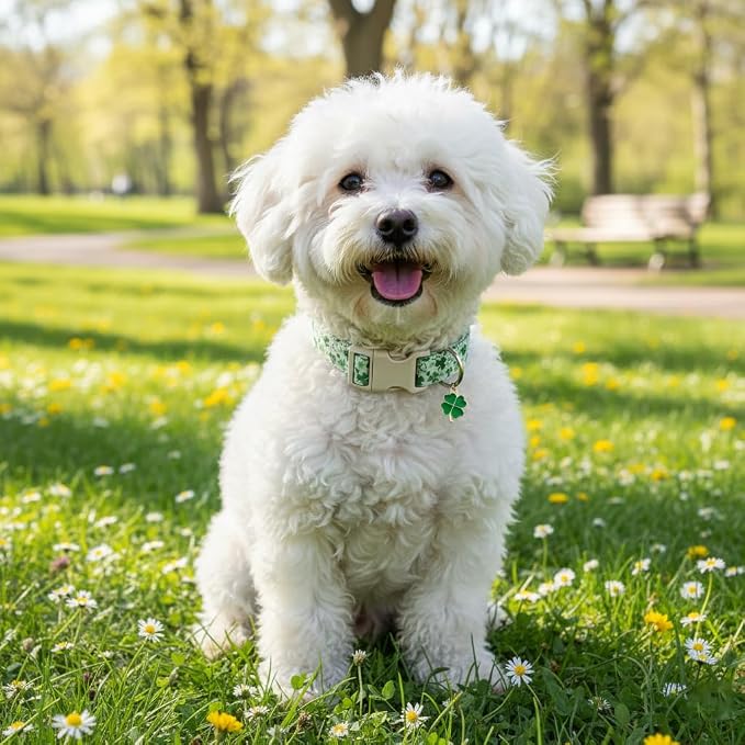 Green Dog Collar, Cute Spring Theme Dog Collar with Green Clover Print for Small Dogs, Small Puppy Collar for Girl Dogs & Boy Dogs, S