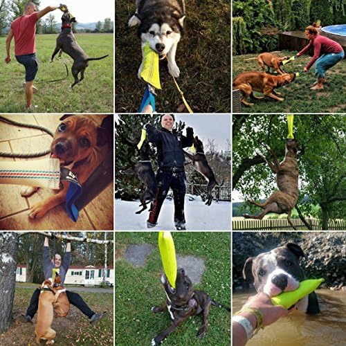 Dog Bite Tug Toy 12 inches - Durable, Interactive Toys for Medium to Large Dogs - Perfect for Tug of War, Fetch & Puppy Training - Safe Fire Hose Dog Tug with Strong Handle - Tough Floating Pull Toy