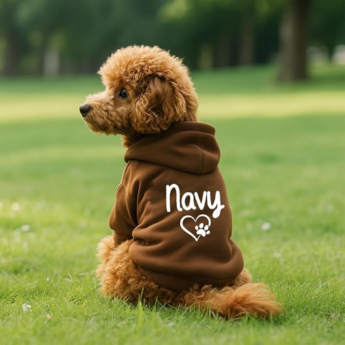 Personalized Dog Hoodie with Custom Name, Cute Puppy Sweatshirt with Heart and Paw Print, Warm Winter Pet Clothes, Custom Dog Outfit, Gift for Dog Lovers