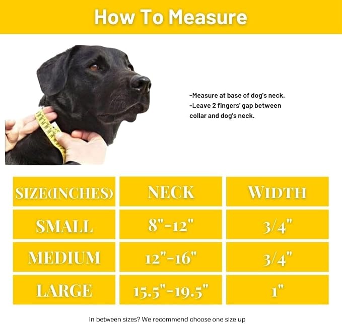 Waterproof Dog Collar, Soft Comfortable Pet Collars, Adjustable Odor Proof Heavy Duty Dog Collars Easy to Clean for Large, Medium Small Dogs by Bee N Buu (Yellow, Small (length8-12, Width 3/4"))