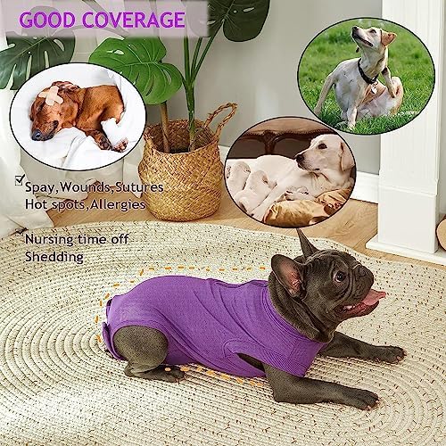 Recovery Suit for Female Dogs, Dog Cone Alternative After Spay