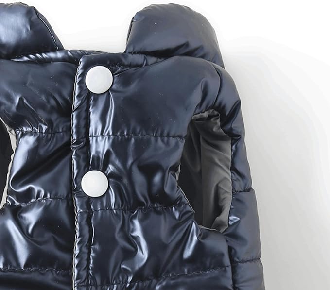 Winter Dog Coat for Small Dogs Chihuahua Warm Jacket for Medium Pet Coats, Blue, XX-Large