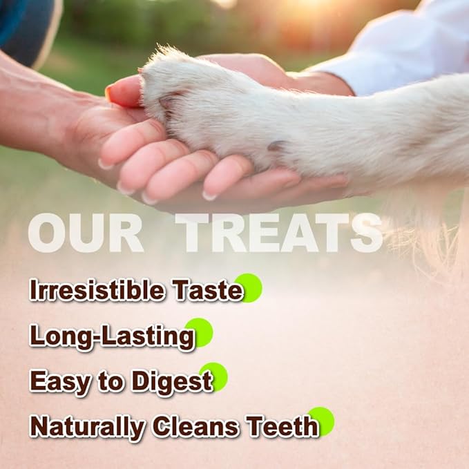 AFreschi Turkey Tendons for Dogs, USA-Sourced, Healthy Dog Treats, Rawhide-Free Puppy Chews, Long Lasting, All Natural, Hypoallergenic Dog Treats for Large Breeds, 2 Count Pack Rope (L)