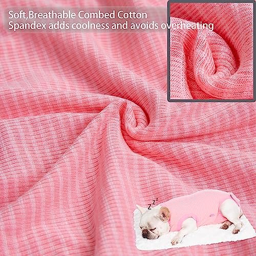 Recovery Suit for Female Dogs, Dog Cone Alternative After Spay