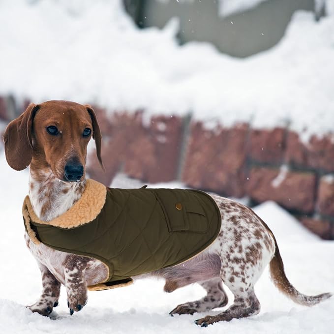 Queenmore Warm Coat for Cold Weather, Quilting Winter Jacket With Ultra Thick Plush Lining and Storage Pockets (Green, Medium)