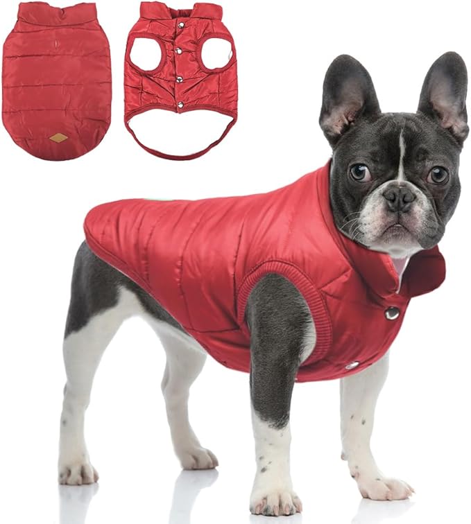 Warm Dog Coat, Windproof Dog Jacket Fleece Pet Winter Coats Solid Color Dogs Clothes Cold Weather Pet Jacket Vest Soft Puppy Apparel for Small Medium Dogs Cat (XL, Red)