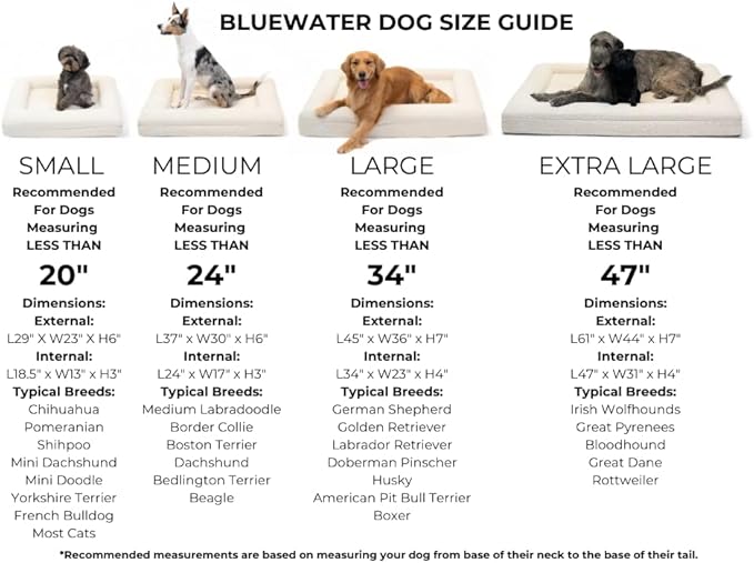 Bluewater Dog Luxury Boucle Orthopedic Memory Foam Dog Bed with Waterproof Liner and Machine Washable Cover with YKK Zippers (Large, 45" L x 36" W x 7" Th, Cloud)