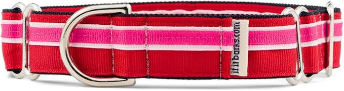 If It Barks 1" Martingale Collar for Dogs, Adjustable Nylon, USA Made, Small, Shortcake