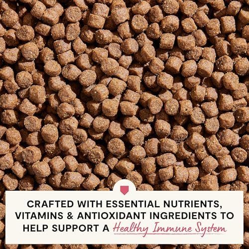 Open Farm Skin & Coat Dry Dog Food, Salmon & Oatmeal, 22lb Bag