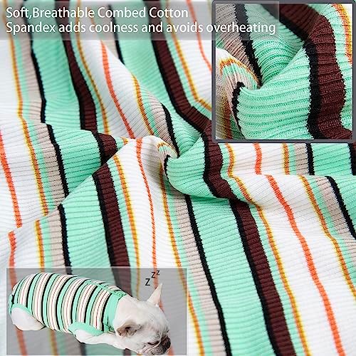 Recovery Suit for Female Dogs, Dog Cone Alternative After Spay