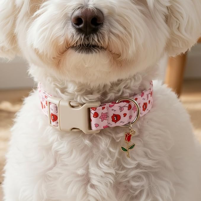 Dog Collar for Medium Dogs, Girl Dog Collars with Kisses Pattern, Cute Pet Collar with Soft Fabric and Quick Release Buckle, Adjustable for Medium Dogs
