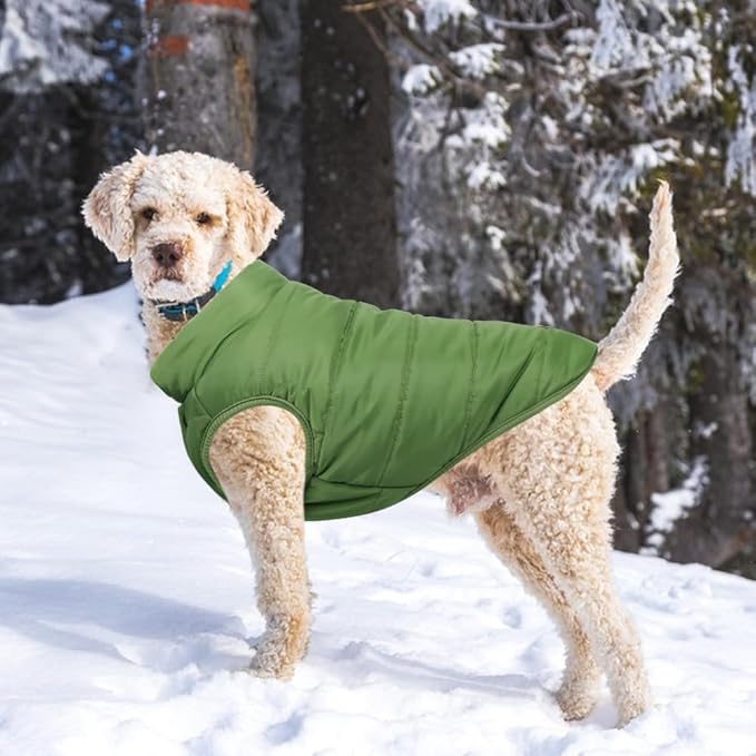 Warm Dog Coat, Windproof Dog Jacket Fleece Pet Winter Coats Solid Color Dogs Clothes Cold Weather Pet Jacket Vest Soft Puppy Apparel for Small Medium Dogs Cat (L, Green)