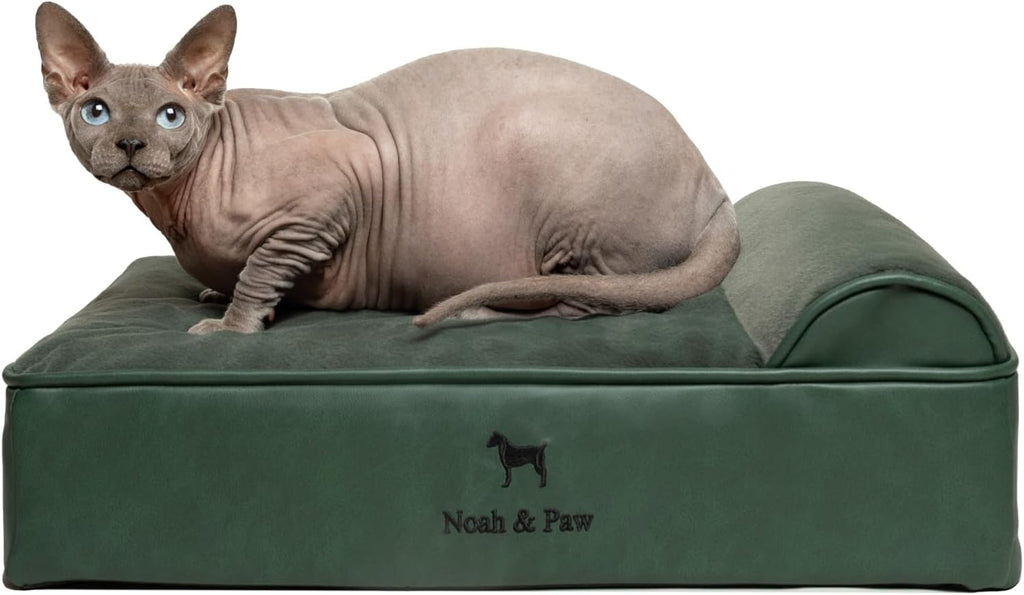 NOAH & PAW Small Dog Bed, 20x15x6.5 Inch, Cat Bed for Indoor Cats, Orthopedic Eggshell Memory Foam Infused with Cooling Gel, Waterproof, Machine Washable, Includes Inner Cover (Faux Leather)
