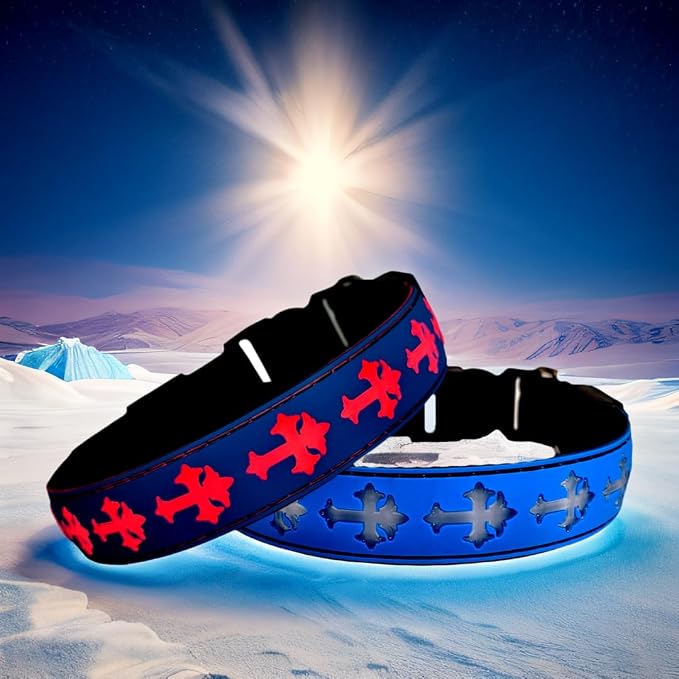 Light Up Glow Dog Collar with Holder Compatible with AirTag