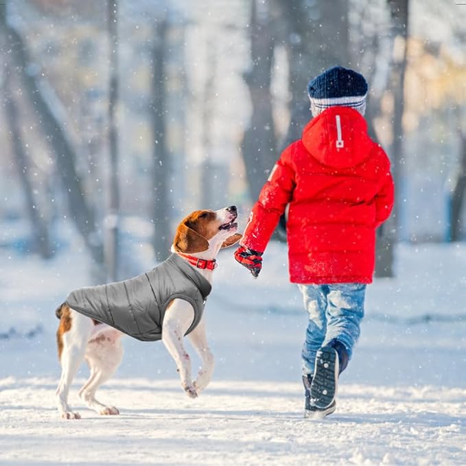 Warm Dog Coat, Windproof Dog Jacket Fleece Pet Winter Coats Solid Color Dogs Clothes Cold Weather Pet Jacket Vest Soft Puppy Apparel for Small Medium Dogs Cat (L, Grey)