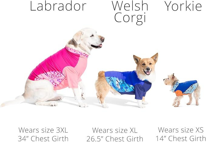 PlayaPup Dog Sun Shirt, USA Made (UPF 50+), Peoni, Large