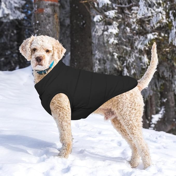 Warm Dog Coat, Windproof Dog Jacket Fleece Pet Winter Coats Solid Color Dogs Clothes Cold Weather Pet Jacket Vest Soft Puppy Apparel for Small Medium Dogs Cat (XS, Black)