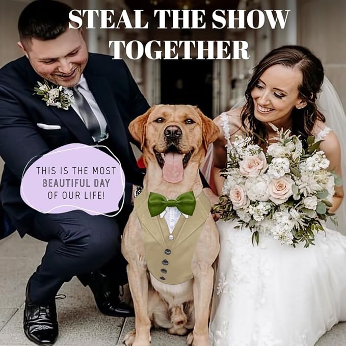 AVERYDAY Dog Tuxedo for Wedding Outfit, Dog Suit and Tie Costumes for Birthday, Halloween, Cosplay, Christmas Party, Pet Formal Wear with Bowtie, Tux for Medium Large Dogs, Bulldog, Labrador, Husky