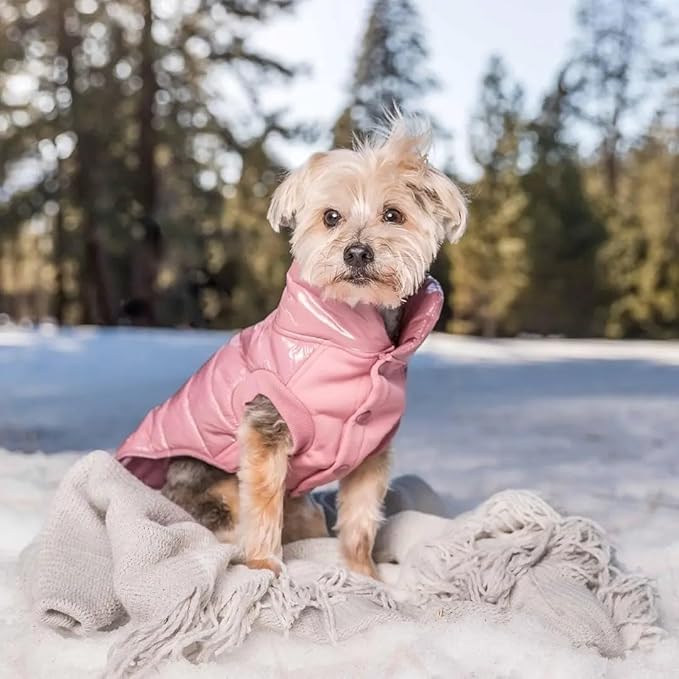 Blueberry Pet Cozy Mauve Pink Puffer Jacket – Windproof Quilted Winter Coat for Small Dogs, Size 10 (12.5" Back Length), Warm Outdoor Accessories
