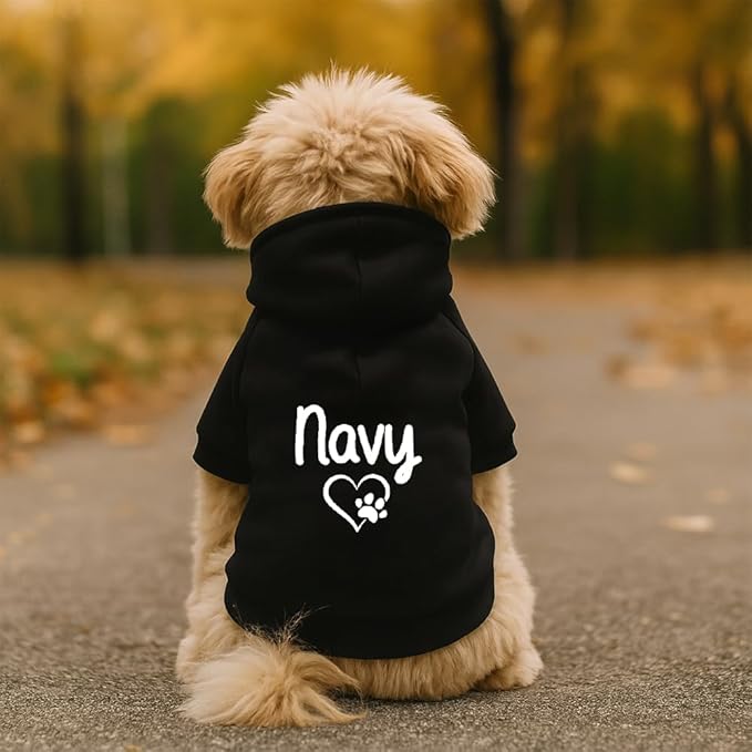 Personalized Dog Hoodie with Custom Name, Cute Puppy Sweatshirt with Heart and Paw Print, Warm Winter Pet Clothes, Custom Dog Outfit, Gift for Dog Lovers