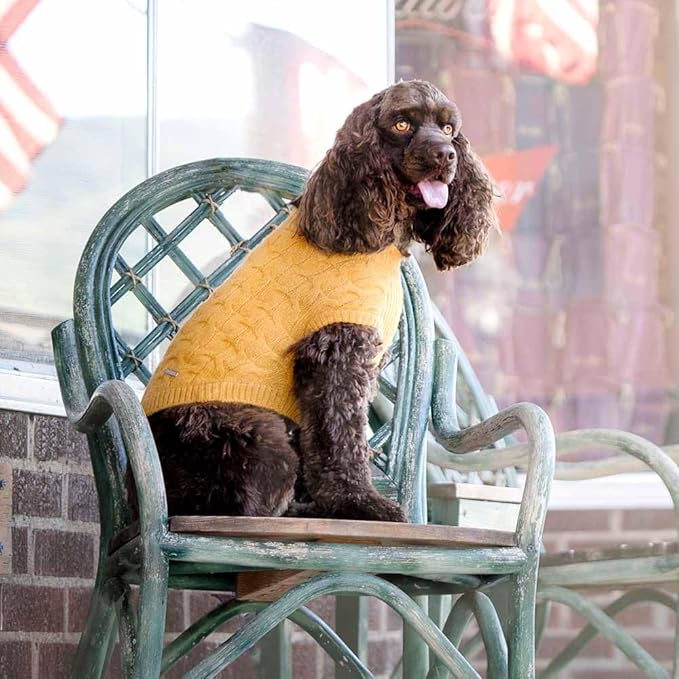 Blueberry Pet Classic Fuzzy Textured Knit Pullover Crew-Neck Dog Sweater in Mustard Yellow, Back Length 18", Pack of 1 Clothes for Dogs