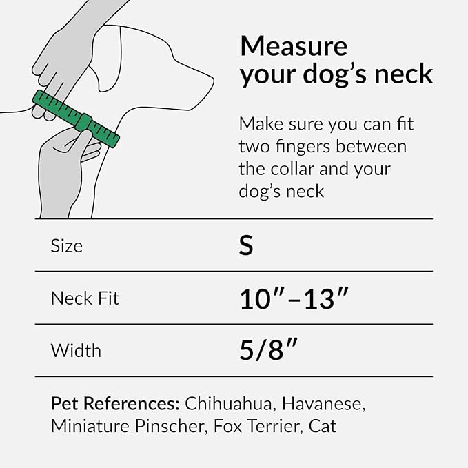 CollarDirect Aztec Dog Collar Adjustable Nylon Tribal Pattern Geometric Pet Collars for Dogs Small Medium Large Puppy (Aztec Sunset, Neck Fit 18"-26"