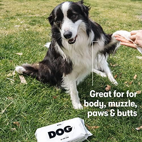 DOG by Dr Lisa - Dog Travel Wipes - Plant-Based - Natural Bathing Wipes for Dogs - Made from 100% Compostable Bamboo - Vet-Created - Vegan - Non-Toxic - Travel Size - Carton (20 per Box)