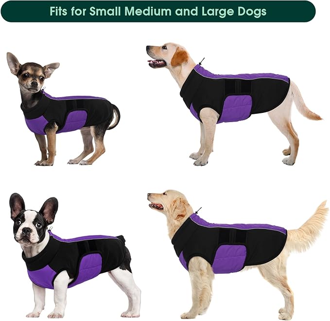 Kuoser Dog Jacket, Warm Dog Coats for Small Dogs, Reflective Doggie Winter Jacket Cold Weather Pet Coats with Leash Hole, Winter Coat Apparel for Yorkie Chihuahua, Purple XS