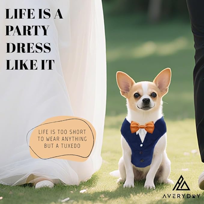 AVERYDAY XS Pet Tuxedo Harness, Wedding Costume Outfit for Small Dogs, Slim Cats and Tiny Pets with 8.3" Neck, 13-14.6" Chest, 8.5" Max Head Girth, Formal Suit Costume for Mini Breeds