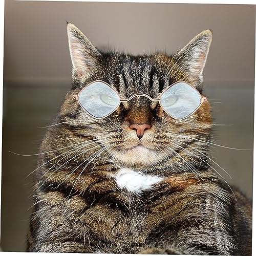 Milisten 2pcs Colorful Dog Eyeglasses for Pets Lightweight and Party Photo Props Accessories for Dogs and Puppies