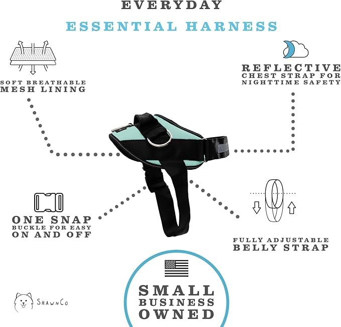 ShawnCo Essential Dog Harness, No-Pull Pet Vest with 3 Leash Clips, No Choke, Reflective, Adjustable and Padded, for Easy Walking and Training for Small, Medium and Large Dogs (Seafoam, M)