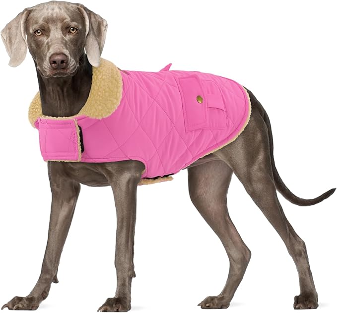 Large Dog Coat - Warm & Windproof Winter Jacket for Extra-Large Dogs - Pink, Golden Retriever to Husky Sizes