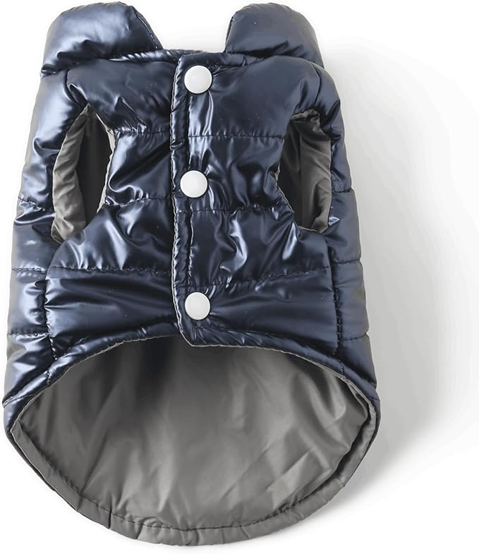 Winter Dog Coat for Small Dogs Chihuahua Warm Jacket for Medium Pet Boy Coats, Blue, Small
