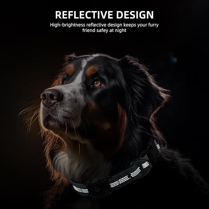 Upgrade Dog Collar with AirTag Holder, IP68 Waterproof, Light Blue, S | Built-in Water Resistant AirTag holder, 1000D Nylon, Reflective Stitching for Night Visibility, Soft padding for Comfort