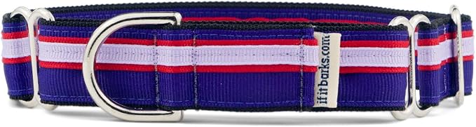 If It Barks 1" Martingale Collar for Dogs, Adjustable Nylon, USA Made, Large, Jelly