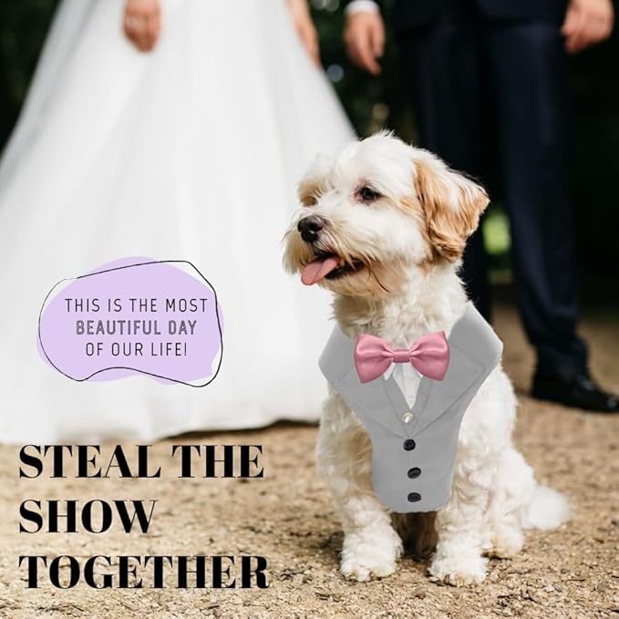 AVERYDAY Dog Tuxedo for Wedding Outfit, Dog Suit and Tie Costumes for Birthday, Halloween, Cosplay, Christmas Party, Pet Formal Wear with Bowtie, Tux for Small Dogs, Chihuahua, Bichon, Maltese, Cats