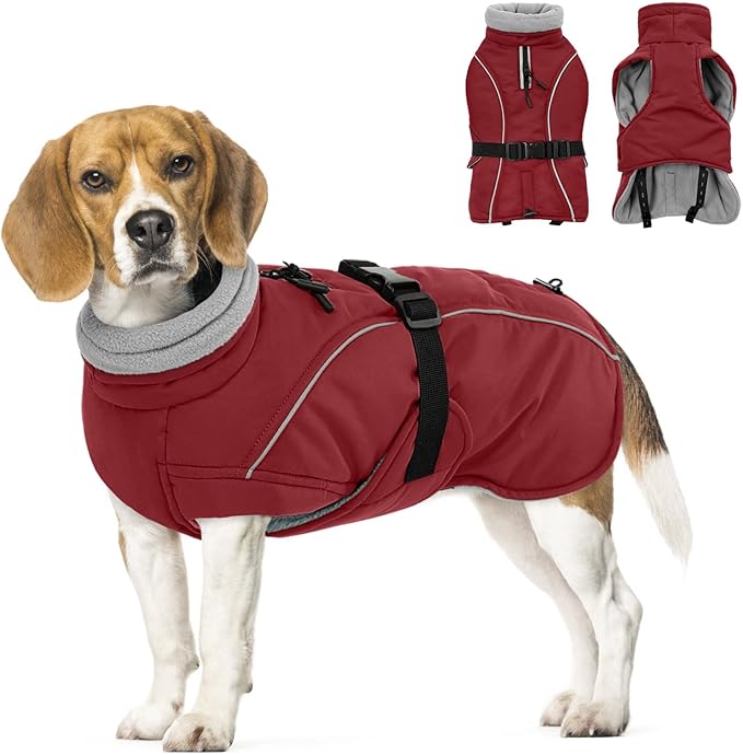 Queenmore Medium Dog Coat, Winter Dog Jacket, Waterproof Puffy Dog Snowsuit, Adjustable Reflective Fleece Lining Warm Padding Parka for Cold Weather, Red M