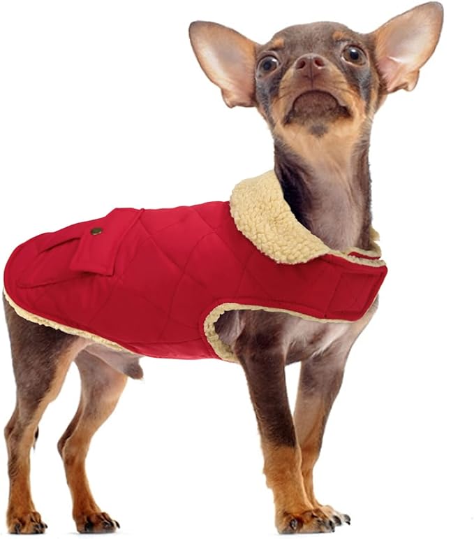 Queenmore Warm Dog Coat, Cold Weather Puffer Dog Jacket Ultra Thick Plush Lining with Storage Pockets (Red, Small)