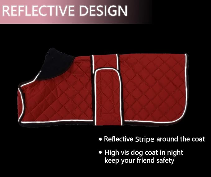 Dachshund Coat Dog Coats for Dachshunds Dachshund Winter Jacket with Padded Fleece Outdoor Dog Clothes with Adjustable Bands - Red - L