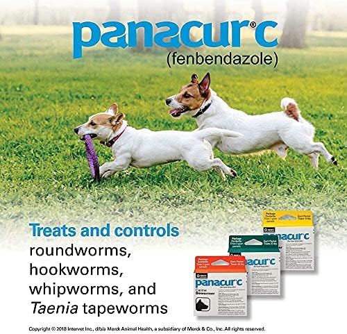 Panacur C Canine Dewormer (Fenbendazole), 1 Gram, Yellow, 3 Count (Pack of 1)