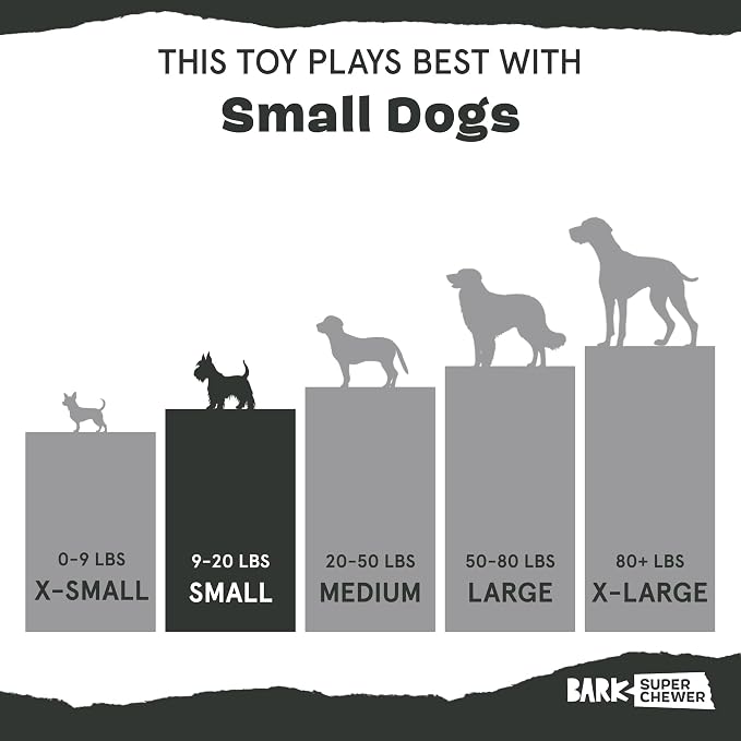 BarkBox Origin Super Chewer - Toy for Small Dogs