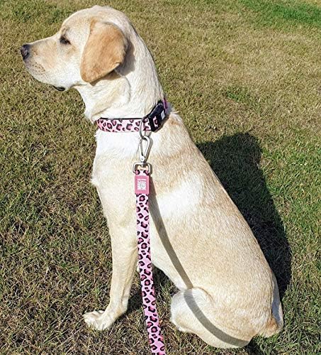 Max & Molly Urban Pets Smart ID Dog Collar - Soft Neoprene, Waterproof, Machine Washable, Power Buckle, Gotcha! QR Tag & Custom App Profile, Leopard Pink L