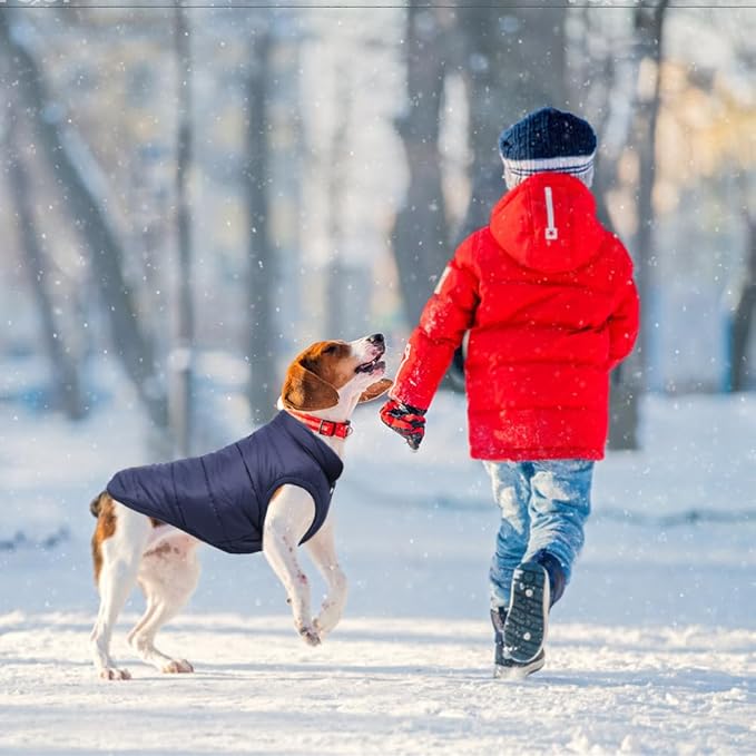 Warm Dog Coat, Windproof Dog Jacket Fleece Pet Winter Coats Solid Color Dogs Clothes Cold Weather Pet Jacket Vest Soft Puppy Apparel for Small Medium Dogs Cat (S, Navy)