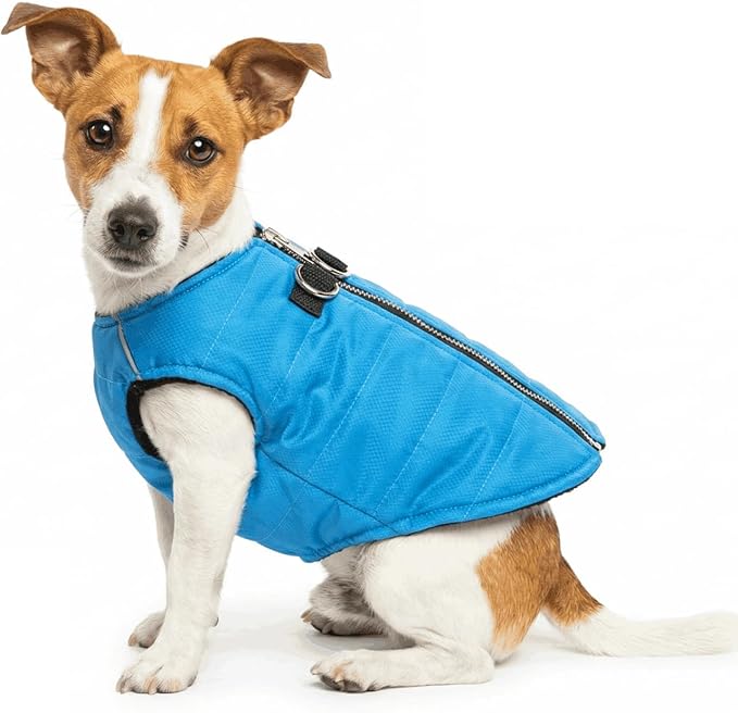 Puppy Winter Coats Small Dog Coat Waterproof Dog Jackets Pet Jacket Coats for Small Dogs XS Puppy Clothes for Boys